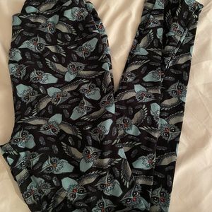 🦉 Lularoe Owl Leggings!🦉